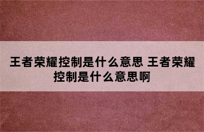 王者荣耀控制是什么意思 王者荣耀控制是什么意思啊